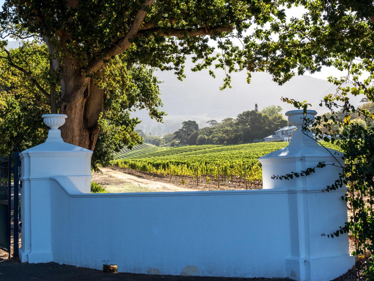 Wijn in Stellenbosch