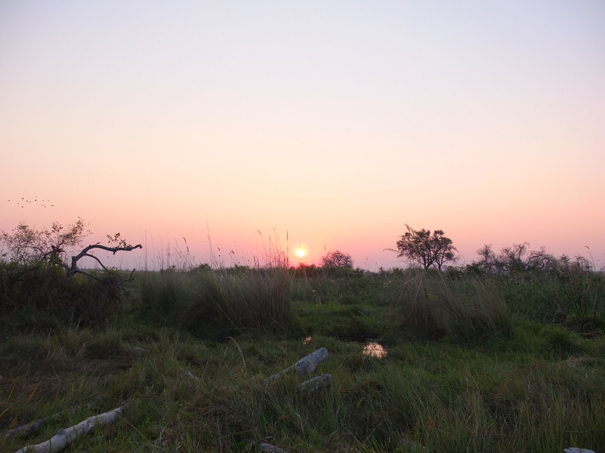 Okavangodelta / Moremi National&nbsp;Park