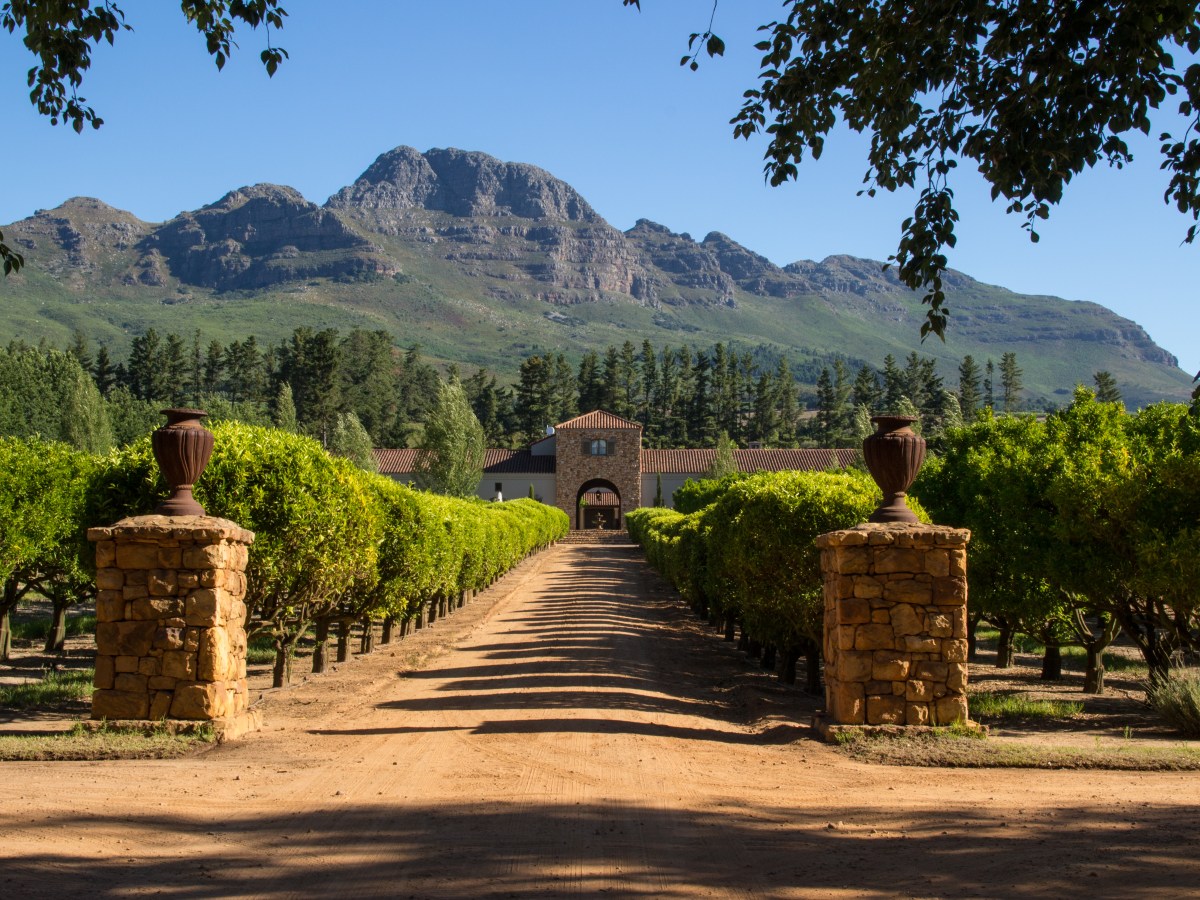 Hoogtepunten van Zuid-Afrika: Kruger, St Lucia, Addo, Tuin- en wijnroute (19&nbsp;dagen)