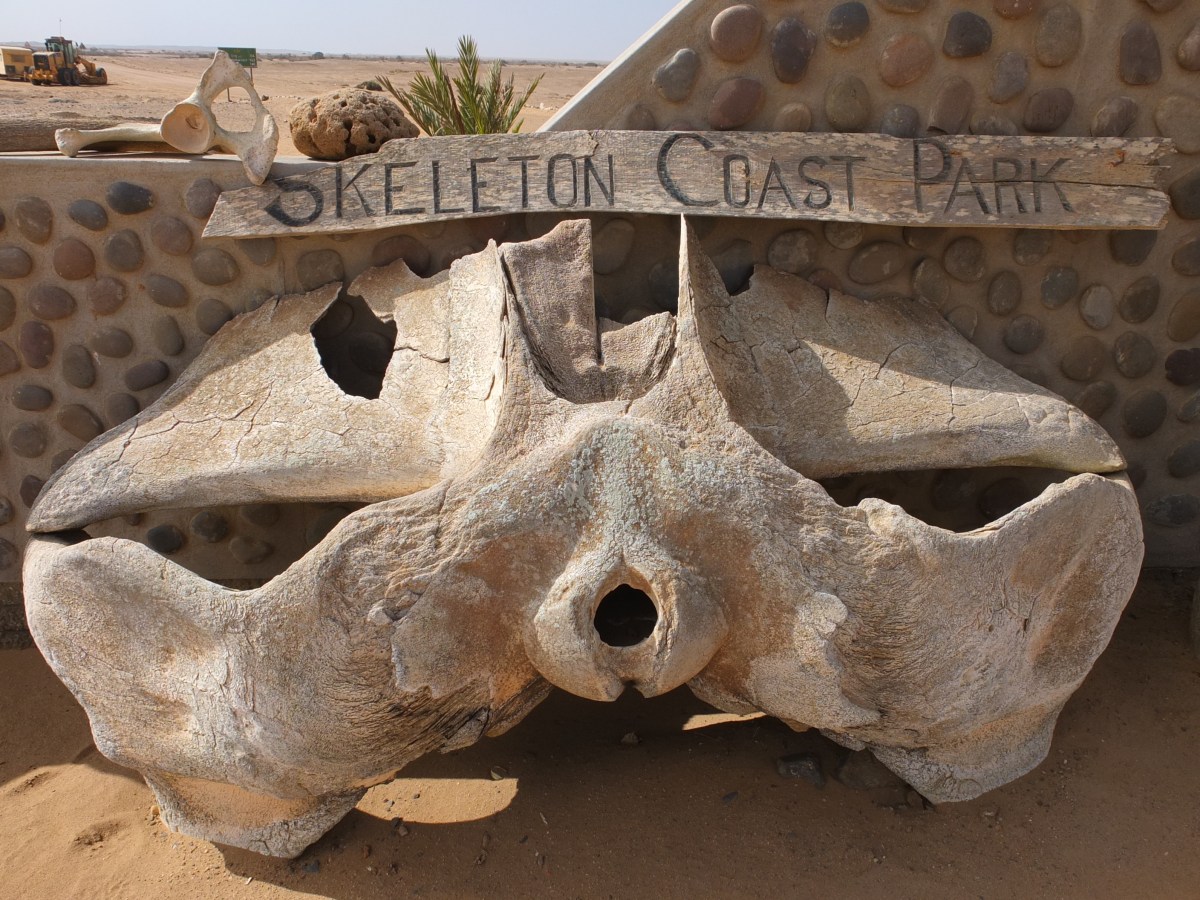 Skeleton Coast & Cape&nbsp;Cross